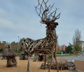 The wood recovered from the waters becomes an art exhibition
