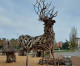 The wood recovered from the waters becomes an art exhibition